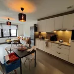 Rent 1 bedroom apartment in Stekene