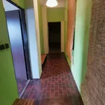 Rent 1 bedroom apartment of 50 m² in Ostrava