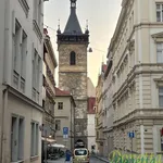 Pronajměte si 3 ložnic/e byt o rozloze 90 m² v Prague