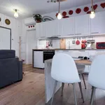 Rent 1 bedroom apartment in milan