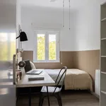 Rent 3 bedroom apartment in Madrid