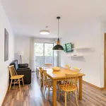 Rent 3 bedroom apartment in barcelona