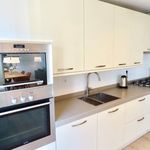 Rent 3 bedroom apartment of 117 m² in Den Haag