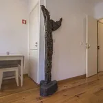 Rent 1 bedroom apartment in lisbon