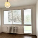 Rent 1 bedroom apartment of 22 m² in Teplice