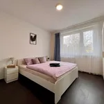 Rent 2 bedroom apartment in Karlovy Vary