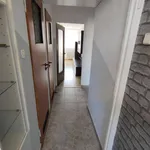 Rent 3 bedroom apartment of 47 m² in Legnica