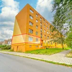 Rent 2 bedroom apartment of 50 m² in Plzeň