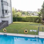 Rent 1 bedroom apartment of 60 m² in madrid