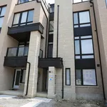 Rent 4 bedroom apartment in Richmond Hill (Jefferson)