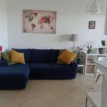 Rent 2 bedroom apartment of 58 m² in Cuneo