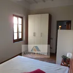 Rent 1 bedroom apartment of 31 m² in Empoli