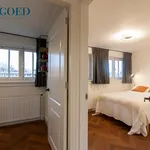 Rent 5 bedroom apartment of 130 m² in Stadionbuurt