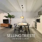 Rent 1 bedroom apartment of 56 m² in Trieste