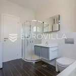 Rent 3 bedroom apartment of 145 m² in Zagreb