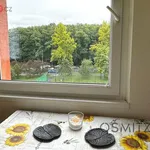 Rent 3 bedroom apartment of 68 m² in Trhový Štěpánov