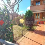 Rent 5 bedroom apartment of 81 m² in Castelnuovo Berardenga