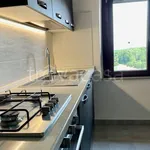 Rent 3 bedroom apartment of 58 m² in Perugia