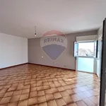 Affitto 5 camera appartamento di 144 m² in Trapani