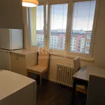 Rent 1 bedroom apartment of 36 m² in Praha