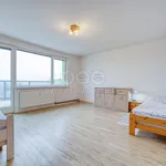 Pronajměte si 2 ložnic/e byt o rozloze 55 m² v Pilsen