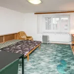 Rent 1 bedroom apartment in Benešov