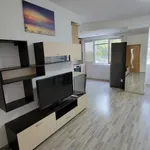 Rent 3 bedroom apartment of 100 m² in Каменица 1