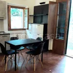 Rent 2 bedroom apartment of 55 m² in Impruneta