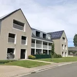 Rent 2 bedroom apartment in Laakdal