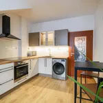 Rent 1 bedroom apartment of 37 m² in Pilsen