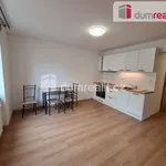 Rent 2 bedroom apartment of 34 m² in Prague