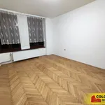 Rent 1 bedroom apartment in Brno venkov