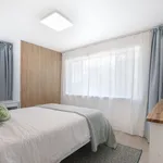 Rent 2 bedroom house in Mermaid Beach