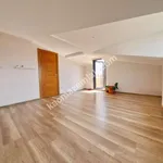 Rent 4 bedroom apartment of 130 m² in İstanbul