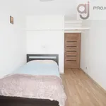 Rent 2 bedroom apartment of 50 m² in Łódź