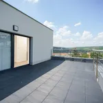 Rent 7 bedroom house of 300 m² in Prague