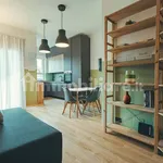 Rent 3 bedroom apartment of 110 m² in Turin