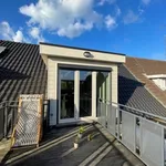 Huur 2 slaapkamer appartement in Houthalen-Helchteren