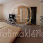 Rent 3 bedroom apartment in Brno