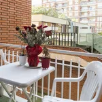 Rent 3 bedroom apartment in Barcelona