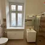 Rent 2 bedroom apartment of 46 m² in Tábor