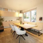 Rent 4 bedroom apartment of 85 m² in Nieuwe Werk