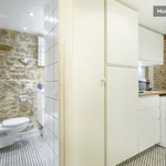 Rent 1 bedroom apartment of 25 m² in Lyon