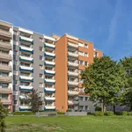 Rent 2 bedroom apartment of 52 m² in Düsseldorf