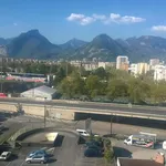 Rent 2 bedroom apartment of 51 m² in Grenoble