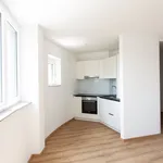 Rent 2 bedroom apartment of 62 m² in Salzburg