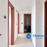 Rent 4 bedroom apartment of 130 m² in Bari