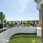 Rent 4 bedroom apartment of 301 m² in Madrid