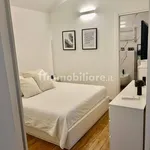 Rent 2 bedroom apartment of 55 m² in Turin