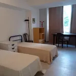 Rent 3 bedroom apartment in Ferrara